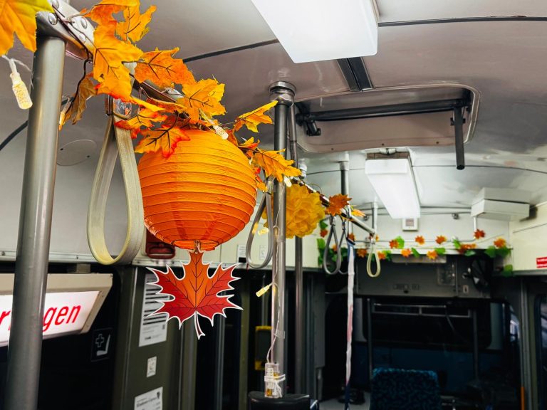 Mit Triebwagen 204 zum Weinbergfest – eine Fahrt, die in Erinnerung bleibt
