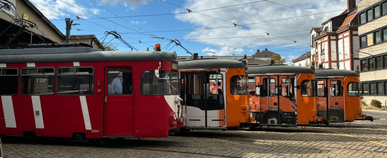 Zwei Tage, zwei Großaufgaben: Starkes IGN-Wochenende in Mannheim und der Region